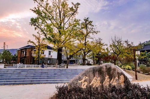 5·19中國旅游日，浙江景區(qū)免費(fèi)半價(jià)暢玩，錯(cuò)過再等一年！
